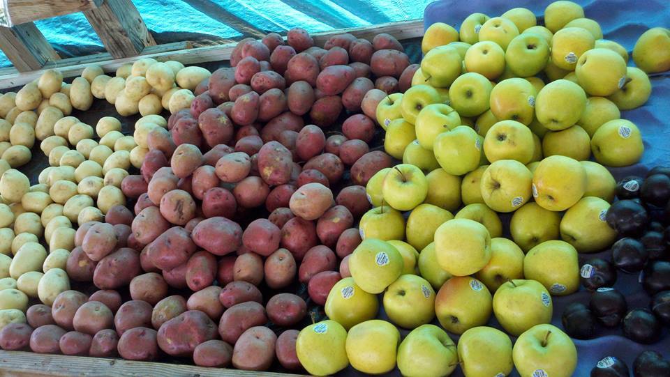 Affordable fruits at the Sweet Union Flea Market