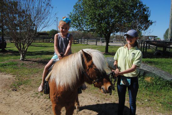 A kid riding a horse in Two by Two Petting Zoo